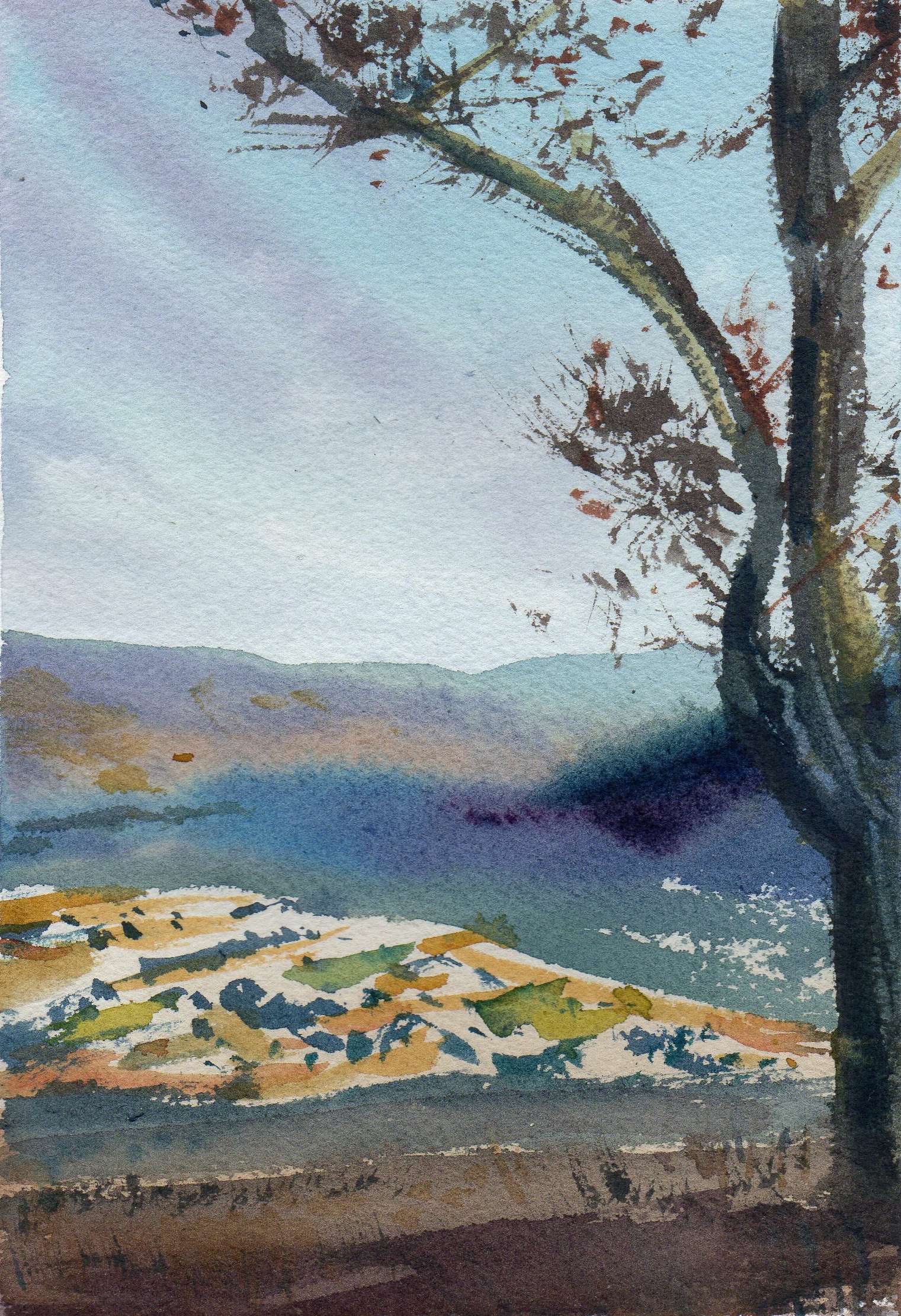 Sierra Norte Vista