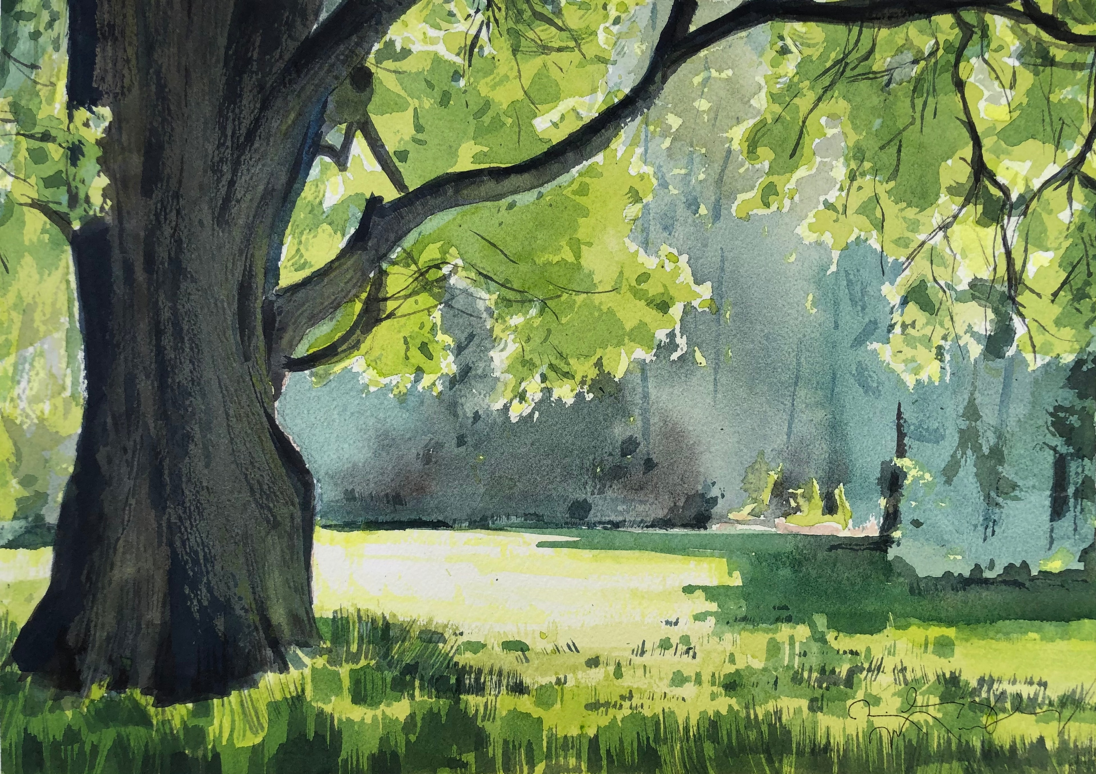 Soft and Fresh Breeze Under the Shade of The Tree