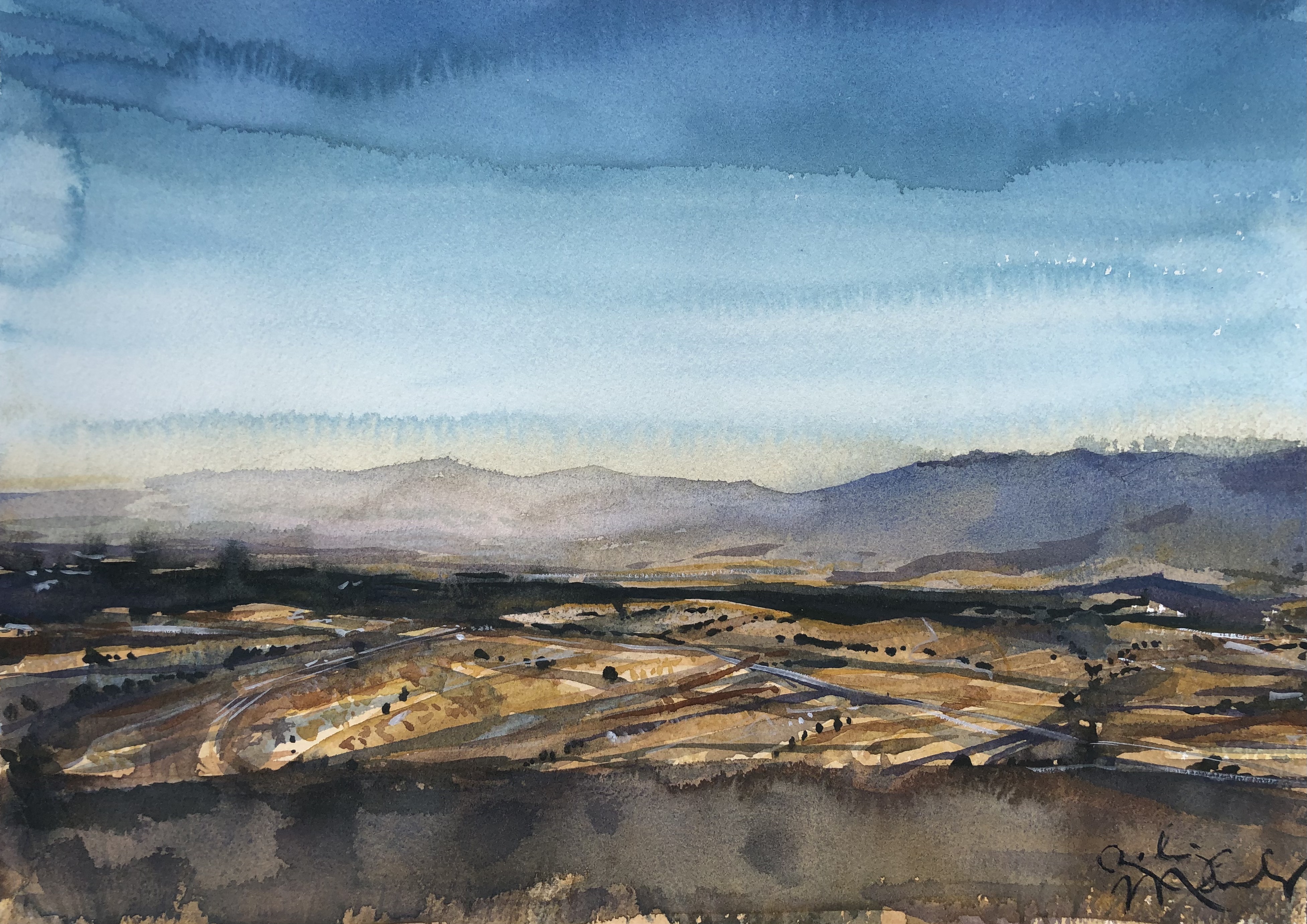 Golden Fields Panorama